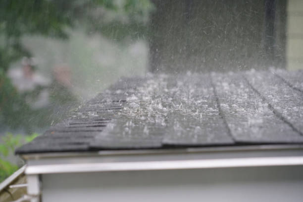 Best Cold Roofs  in Utica, MI